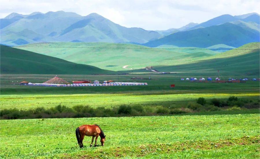 甘南旅游景点（甘南景点排名，看尽世间最美风光）